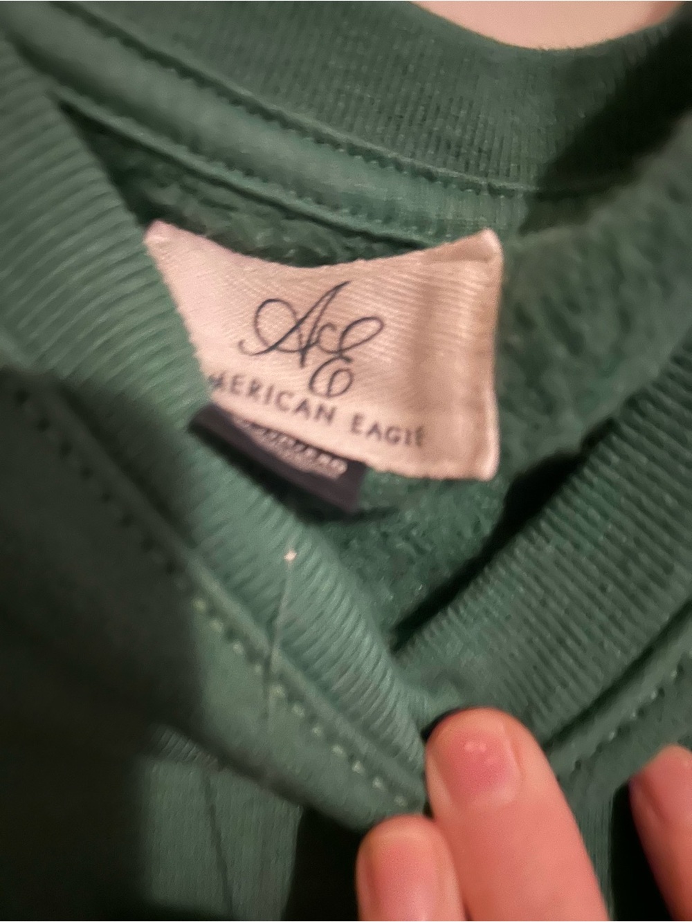 American Eagle Outfitters Deep Green Crewneck Sweatshirt - Picture 2 of 3